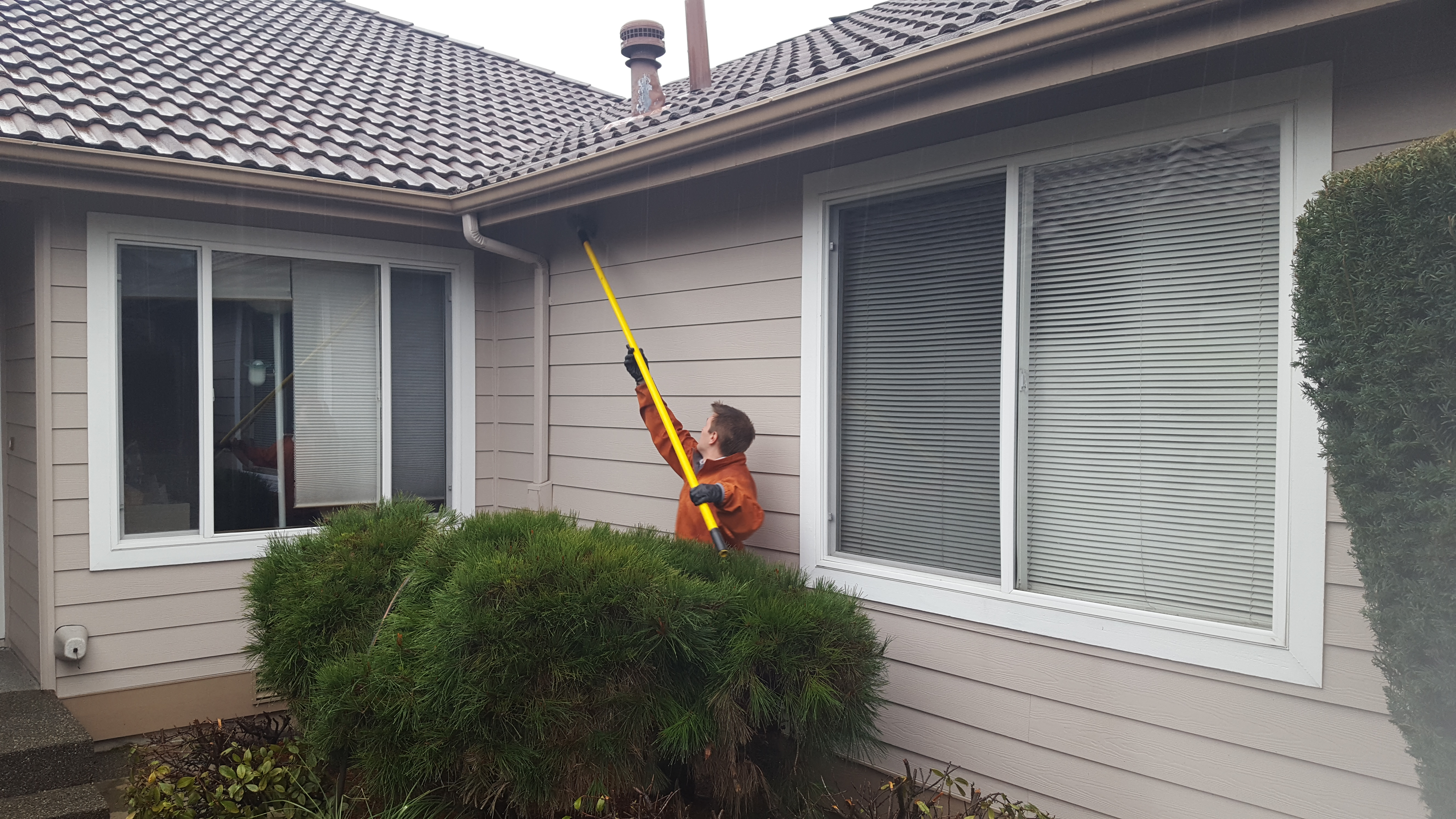 Rambo Total Pest Control Auburn, WA