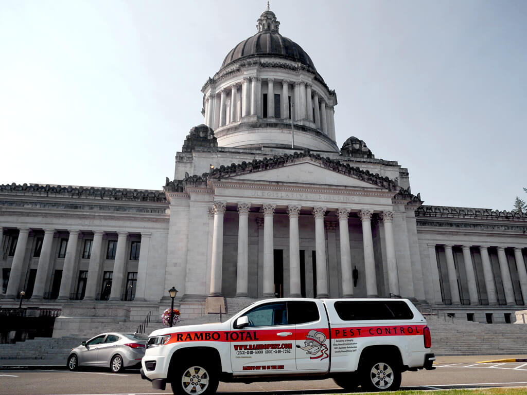 Rambo Total Pest Control's work vehicle in Olympia, WA