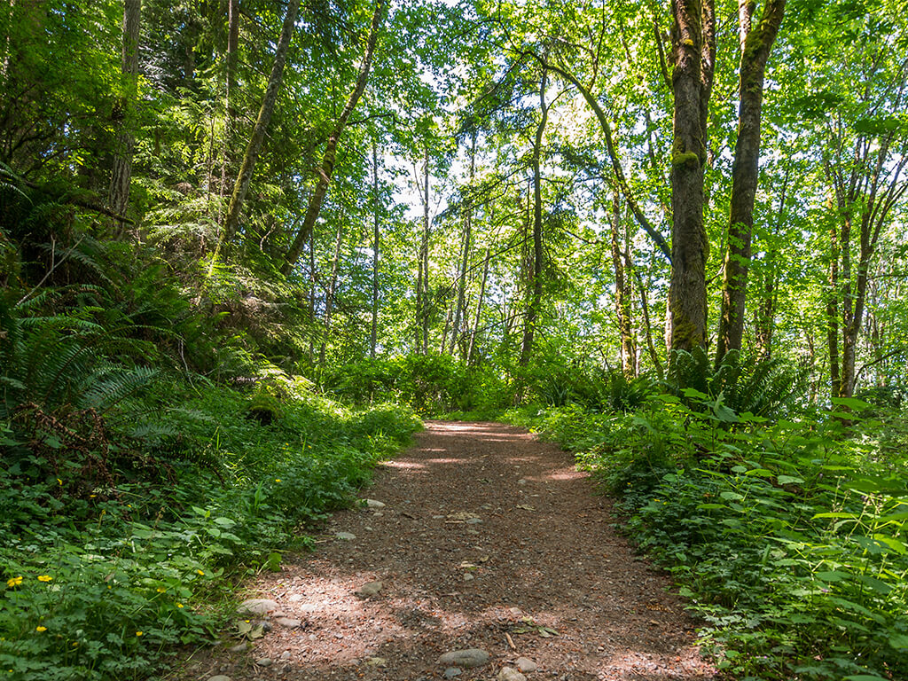 Issaquah Pest Control