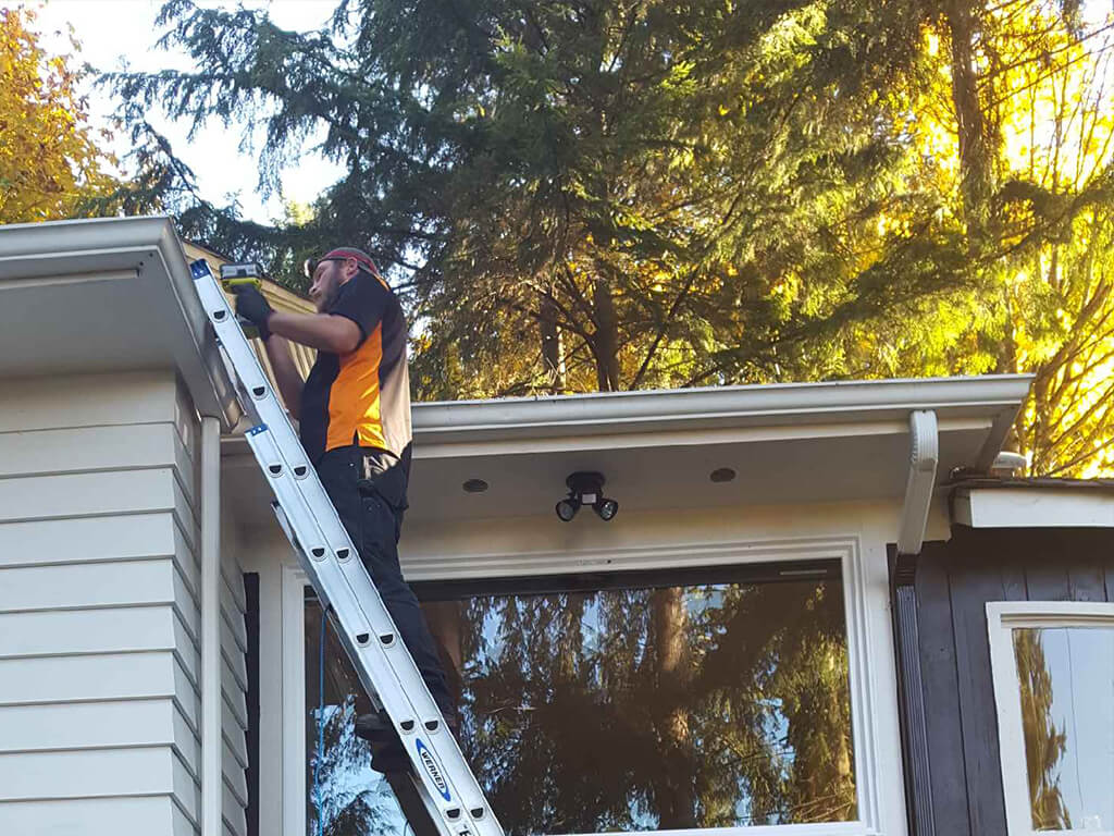 Pest Technician on the roof