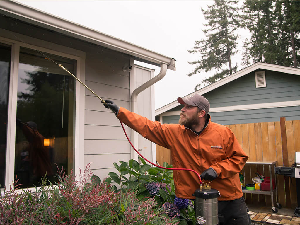 Rambo Total Pest Control spraying for pests